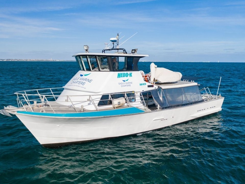 Nedo-K 55ft day cruiser for hire in Perth